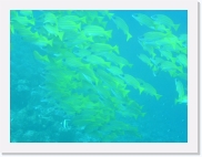 E1010139 * 614 x 461 * (52KB)