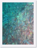 E110191 * 461 x 614 * (70KB)