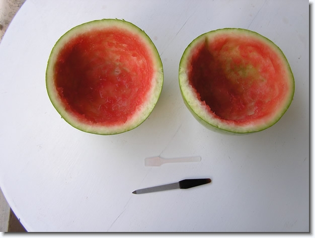 Diapositive suivante