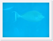 qP3080237 * 614 x 461 * (18KB)