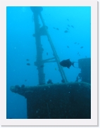 qP3080238 * 461 x 614 * (42KB)