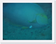 qP3080243 * 614 x 461 * (36KB)