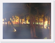wP3070233 * 614 x 461 * (55KB)