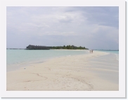 PA090191 * 614 x 461 * (43KB)