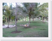 paysageP4230276 * 614 x 461 * (37KB)
