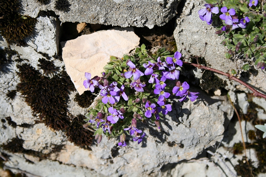 20080329_9_17.JPG