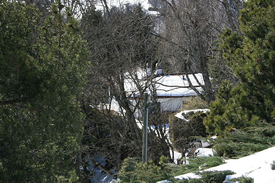 20080329_9_42.JPG