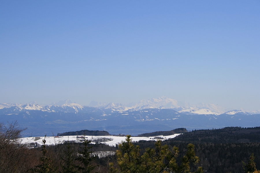 20080329_9_7.JPG