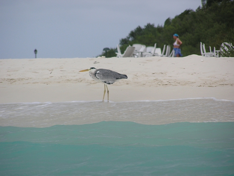 Ile041.JPG