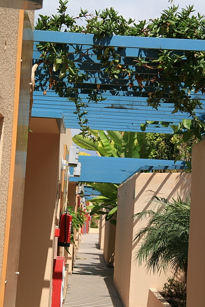 DPPd_0034.JPG