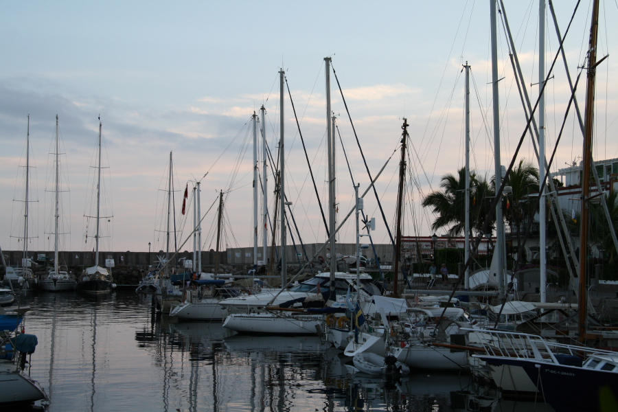 DPPd_0074.JPG
